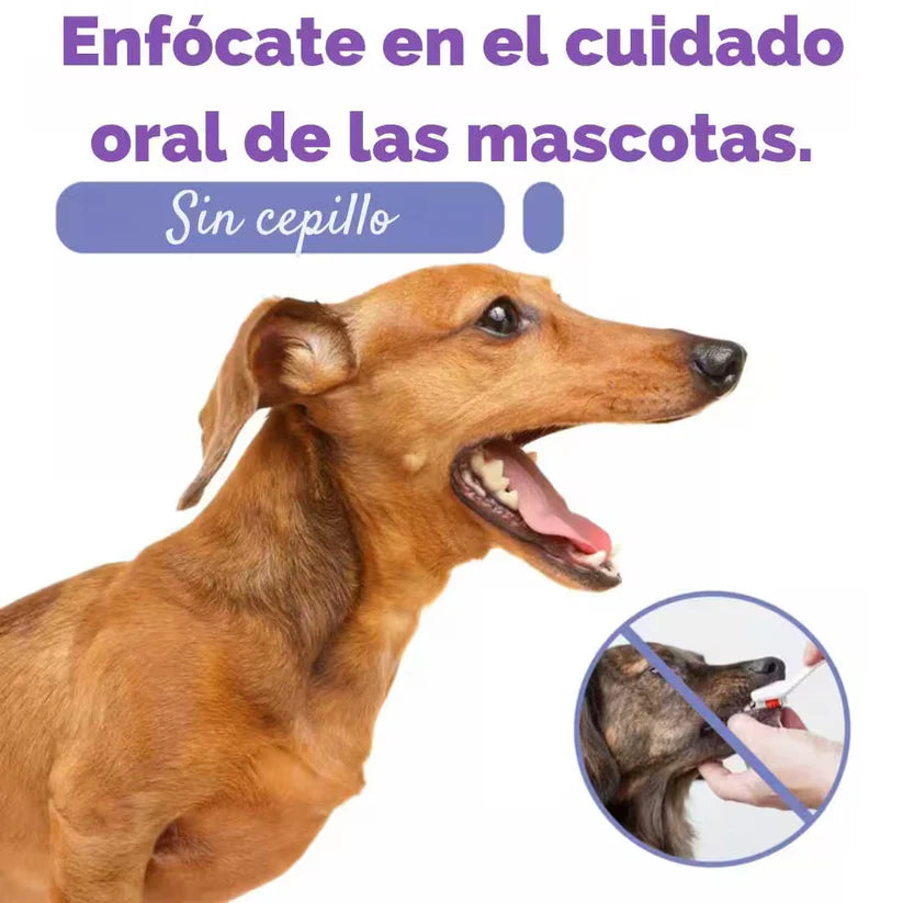 HAPPY PETS® 120ml- Evita infecciones, elimina el sarro y el mal aliento sin lastimar sus encías.